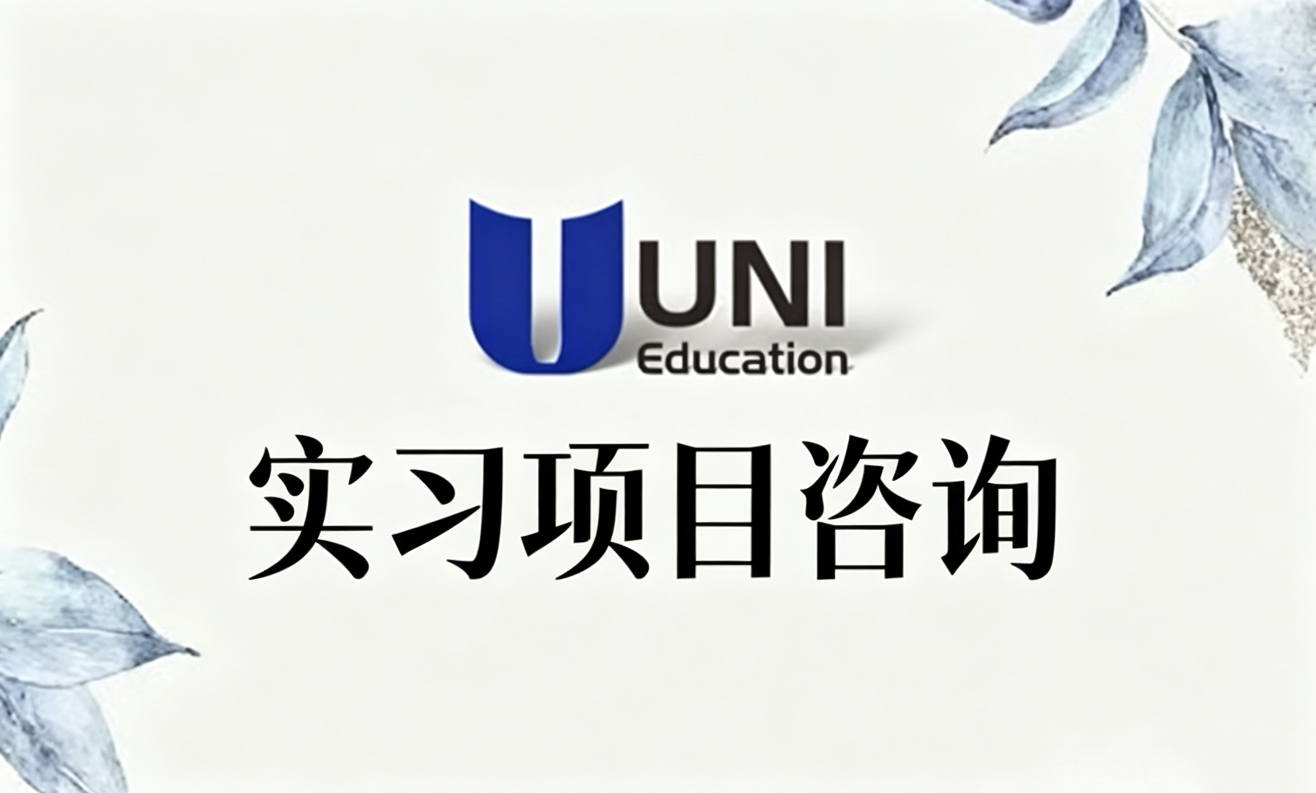 实习项目咨询