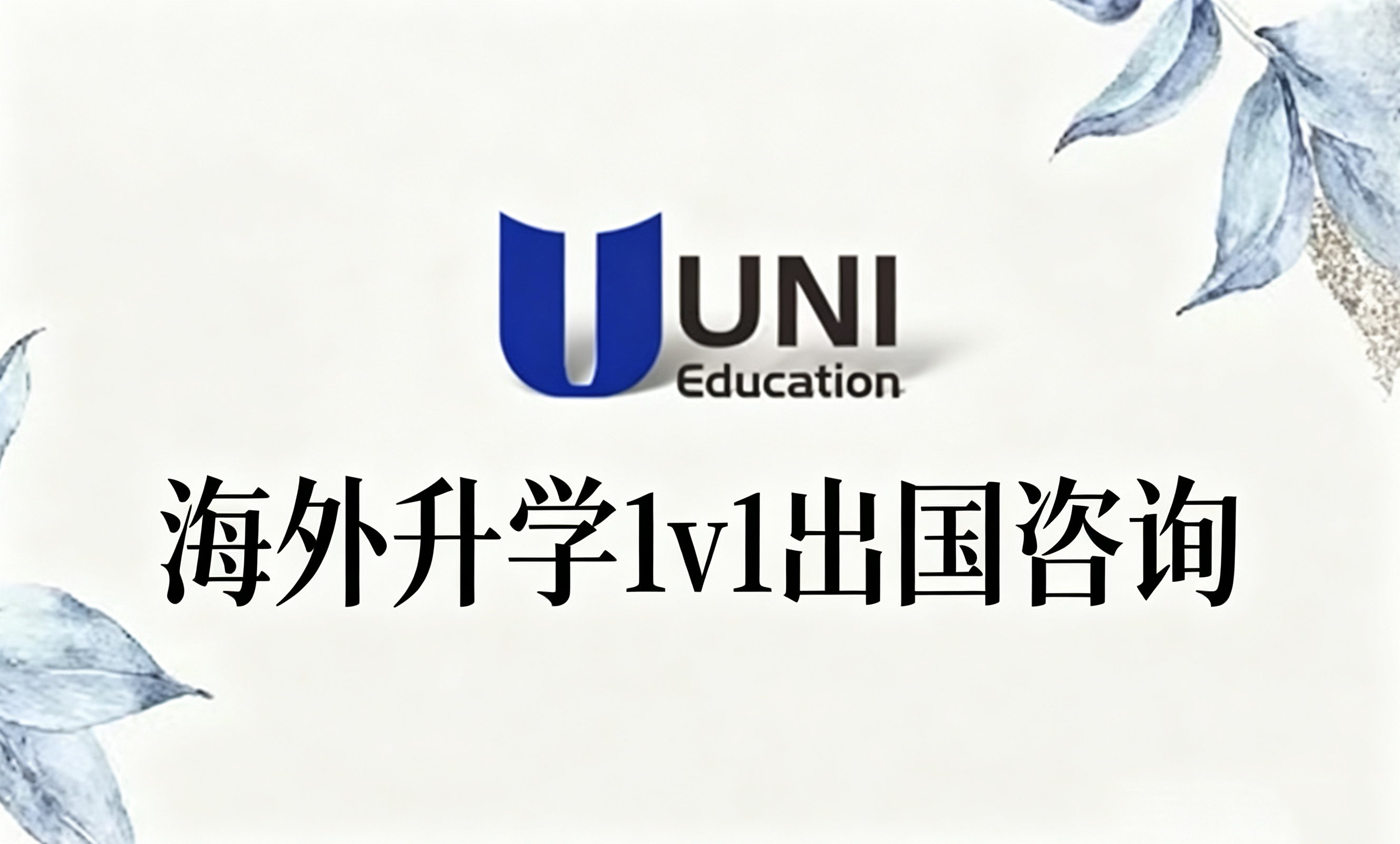 海外升学1v1出国咨询