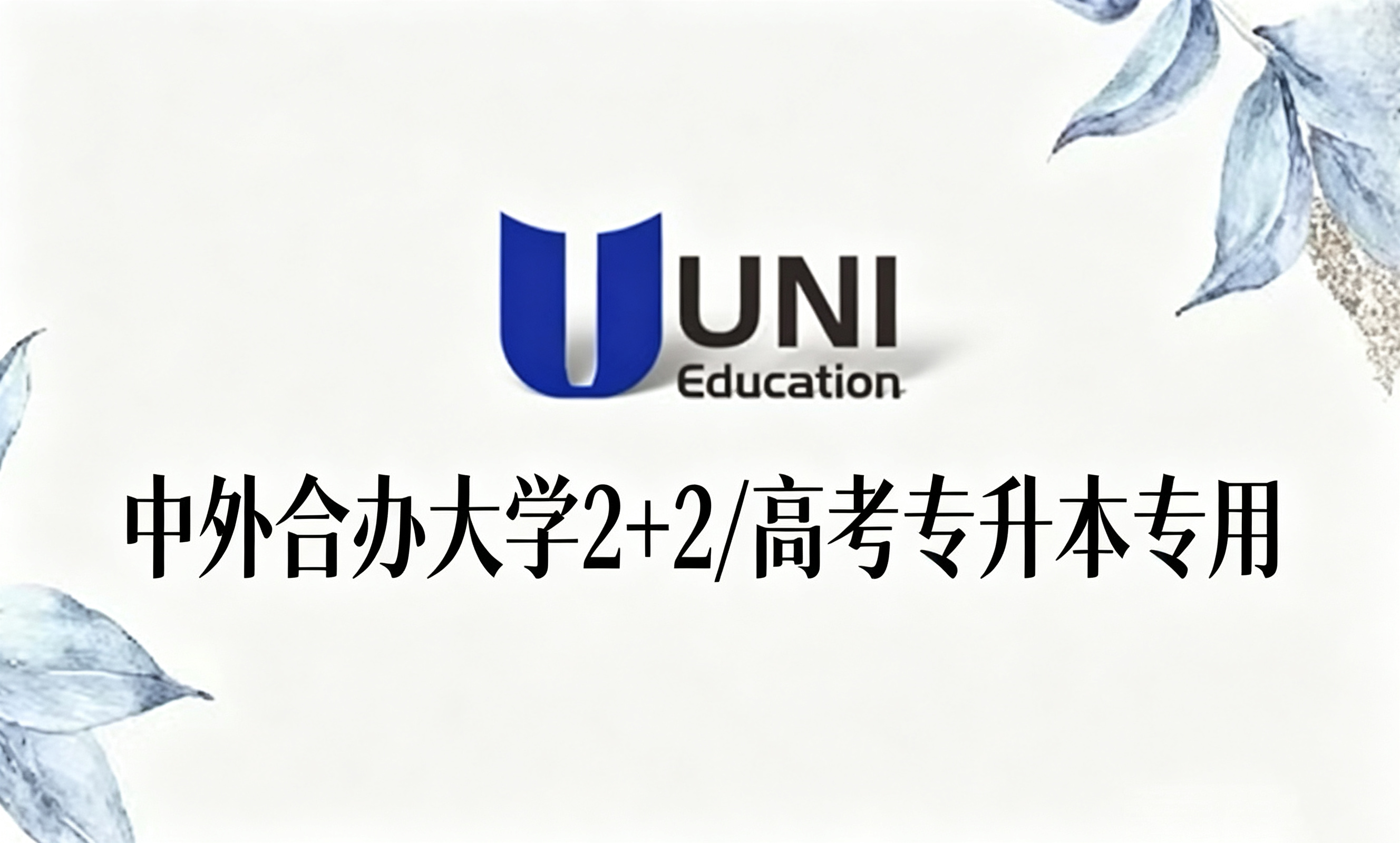 中外合办大学2+2/高考专升本专用
